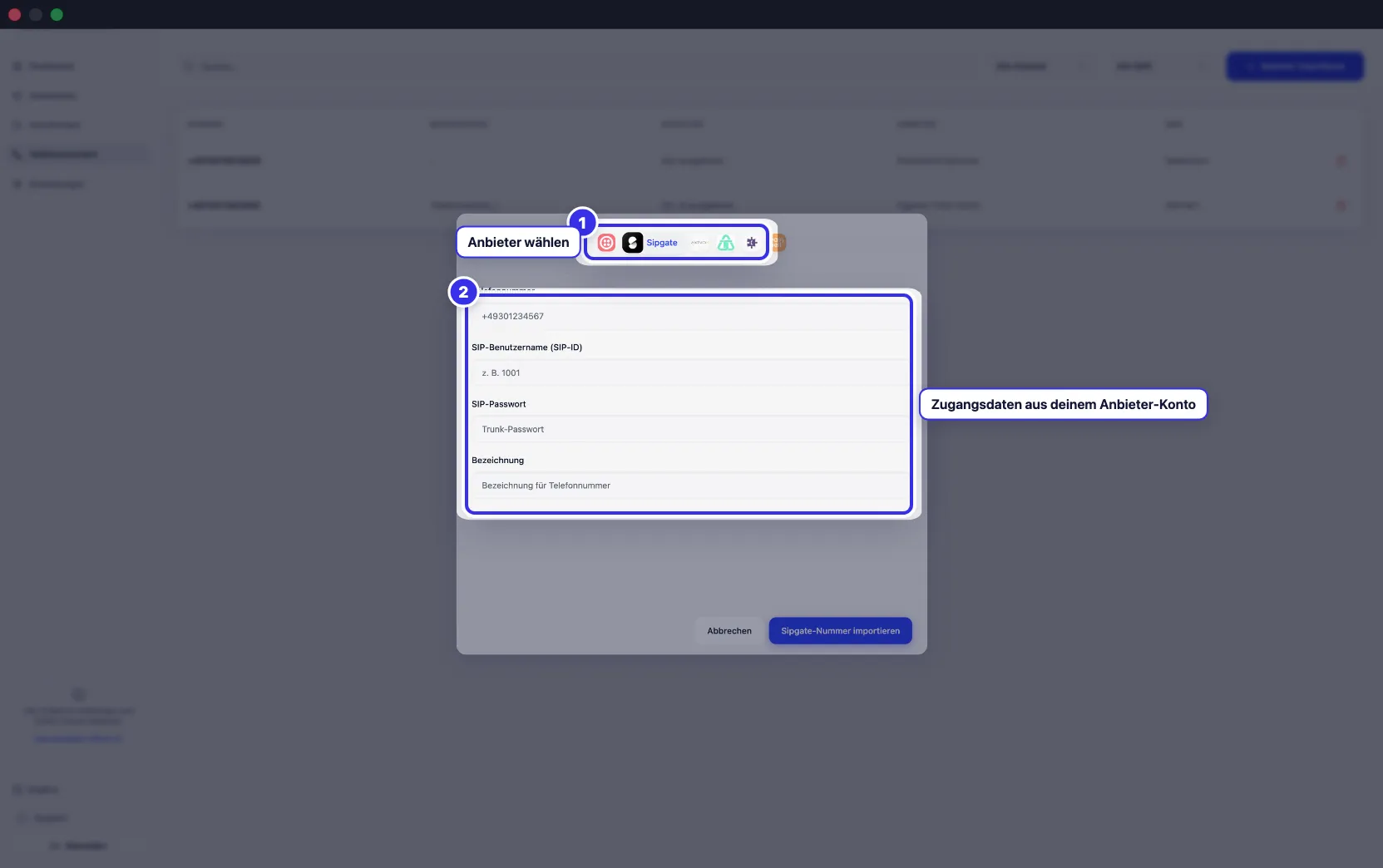 SIP-Import-Dialog